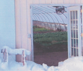 Greenhouse in winter