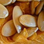 pumpkin seeds